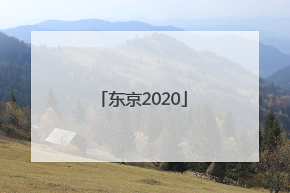 「东京2020」东京2020奥运会游戏 switch