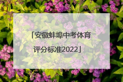 安徽蚌埠中考体育评分标准2022