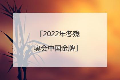 「2022年冬残奥会中国金牌」2022年冬残奥会中国金牌获得者名单