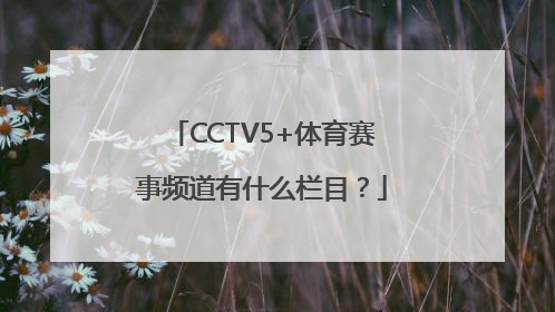 CCTV5+体育赛事频道有什么栏目？