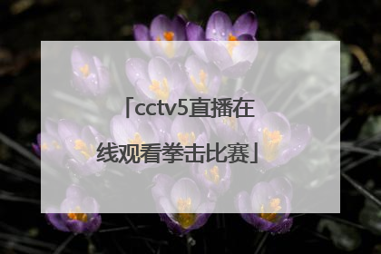 「cctv5直播在线观看拳击比赛」中央五套cctv5直播在线观看